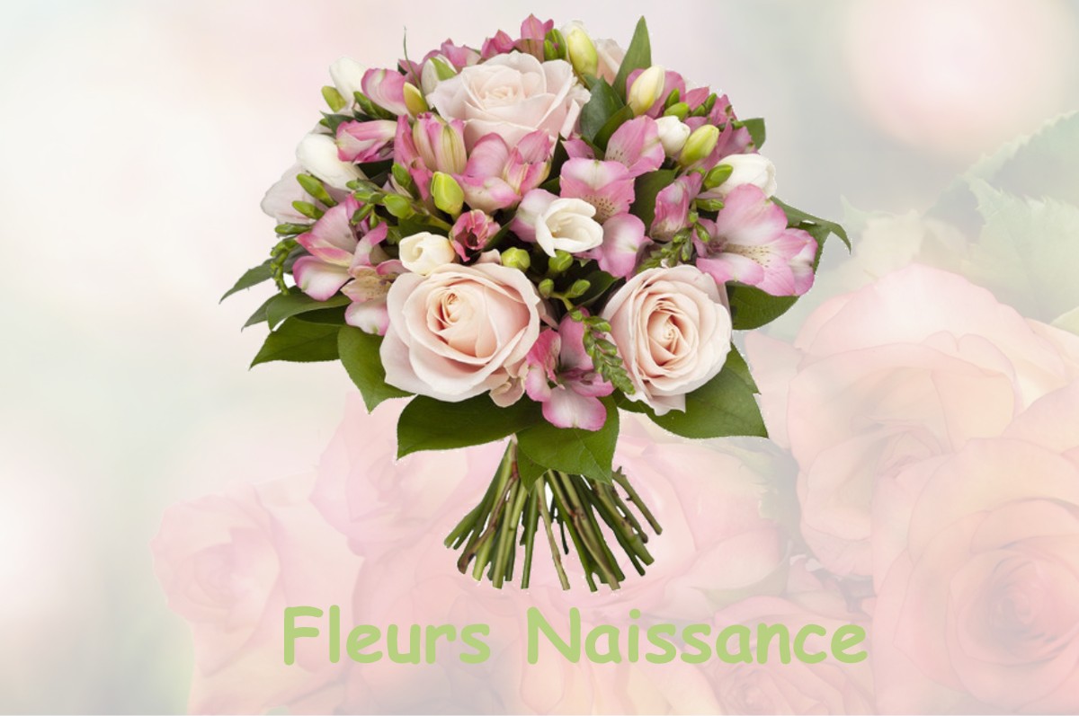 fleurs naissance SAINT-SULPICE-DE-RUFFEC